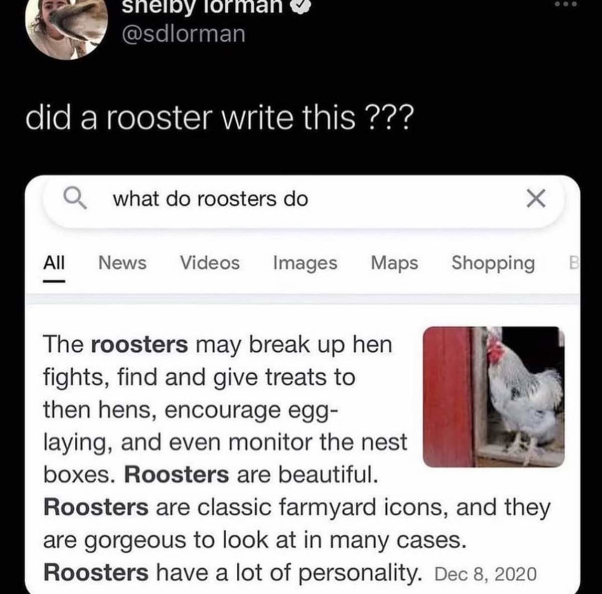 rooster writes.jpg